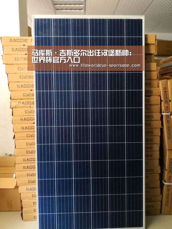 马库斯·吉斯多尔出任汉堡新帅:世界杯官方入口(图1) 世界杯电竞