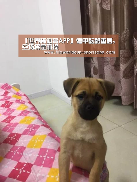 【世界杯体育APP】德甲酝酿重启,空场将是前提(图2) 世界杯电竞