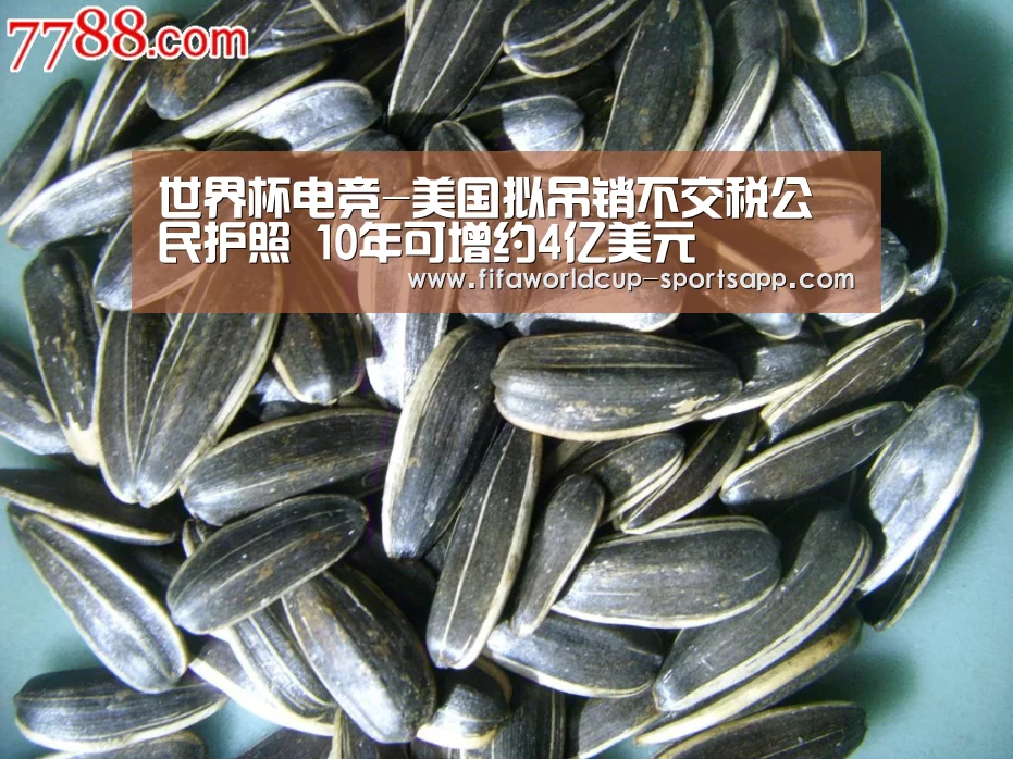 世界杯电竞-美国拟吊销不交税公民护照 10年可增约4亿美元(图1) 世界杯电竞