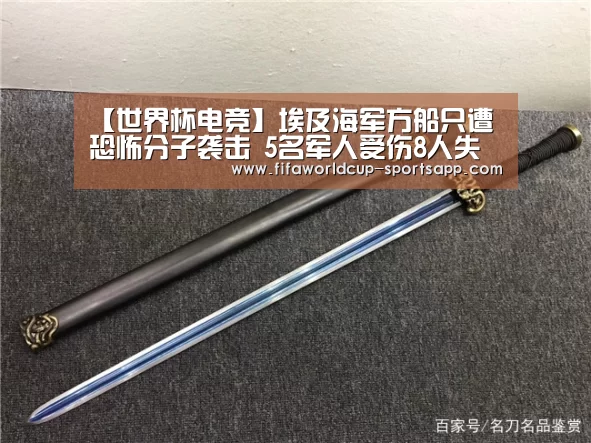 【世界杯电竞】埃及海军方船只遭恐怖分子袭击 5名军人受伤8人失踪(图4) 世界杯体育APP